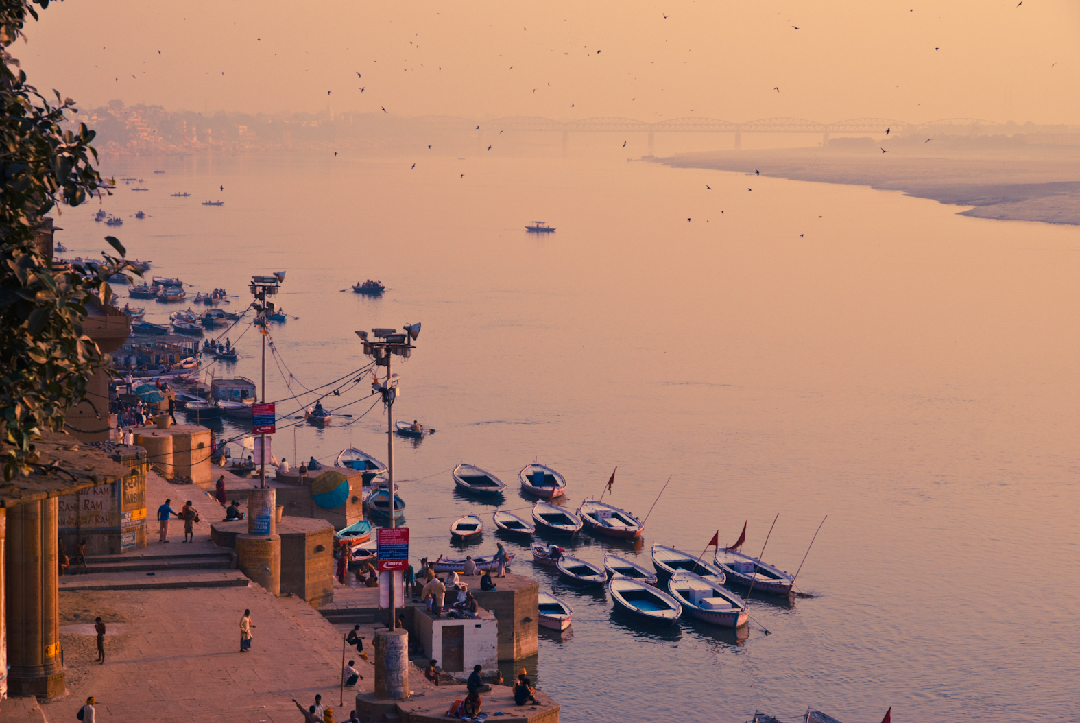 A river with boats and birds
