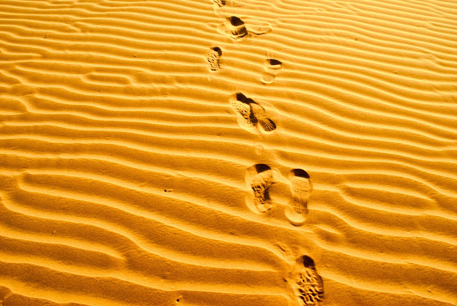 Footprints across rippled sand